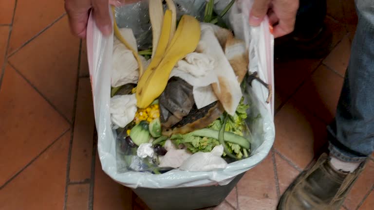  Crossville, TN Junk Removal Services Pros